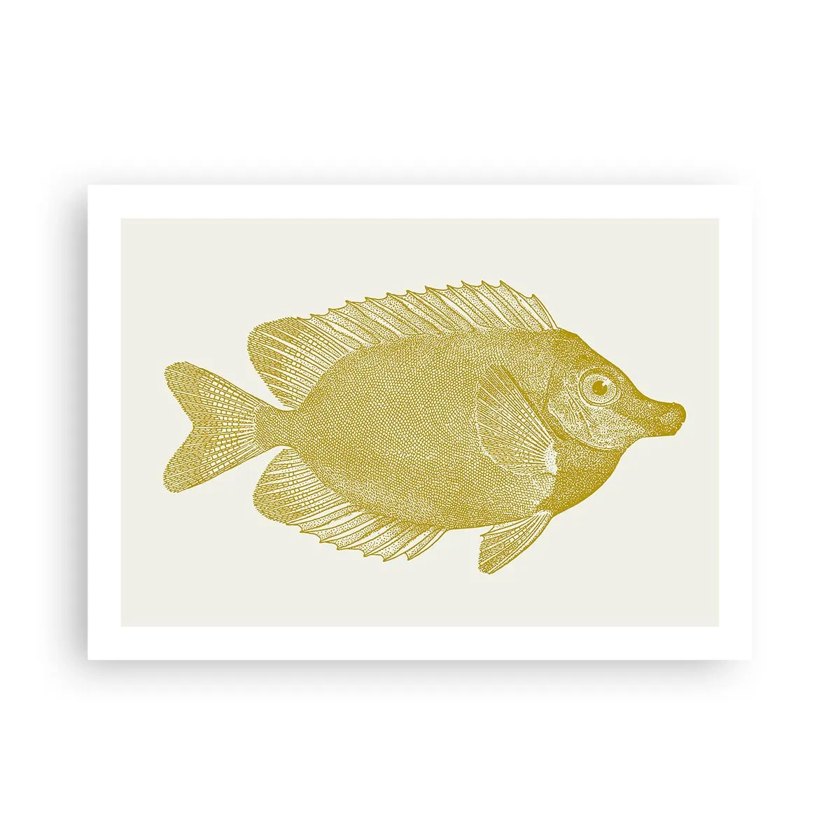 Affiche - Poster - Du poisson et c'est tout - 70x50 cm