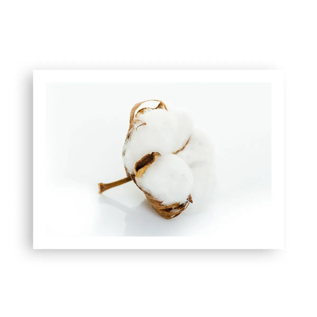 Affiche - Poster - Doux par nature - 70x50 cm