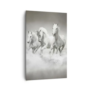 Impression sur toile - Image sur toile - Trois chevaux blancs galopant dans l'eau - 80x120cm - La folie blanche - Décoration murale moderne pour le salon et la chambre ARTTOR