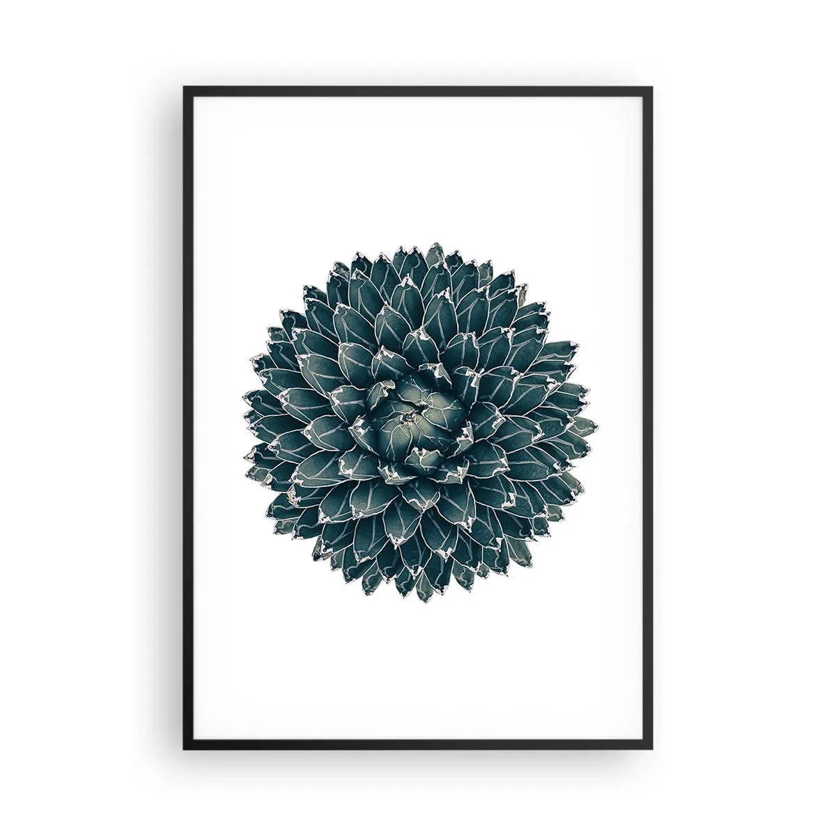 Affiche dans un cadre noir - Poster - Étoile du désert - 70x100 cm