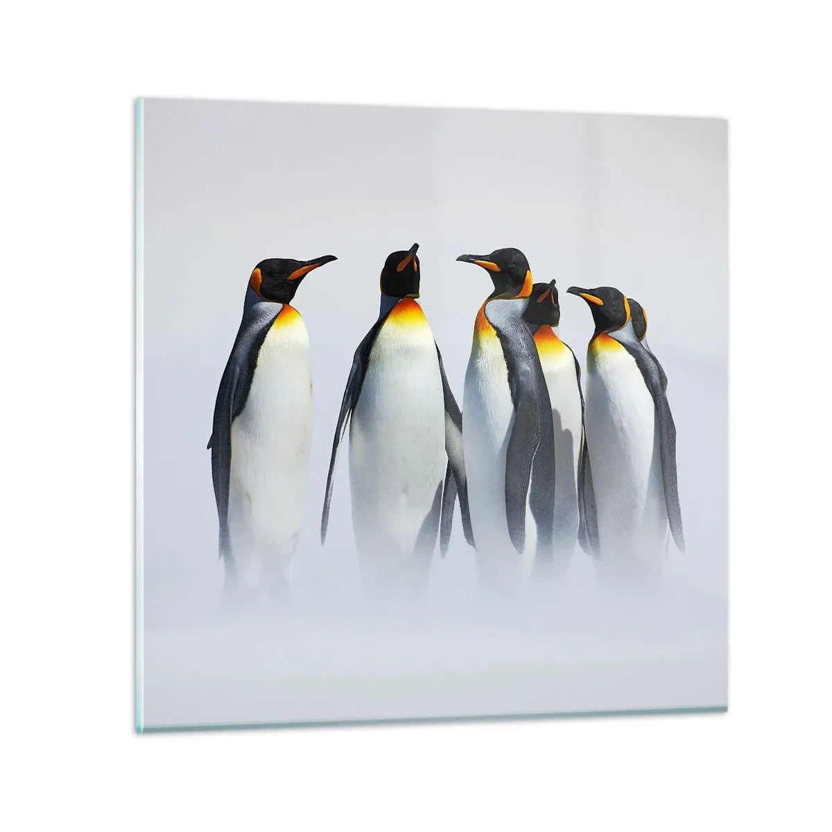 Impression sur verre - Image sur verre - Rencontre en robes de soirée - 60x60 cm