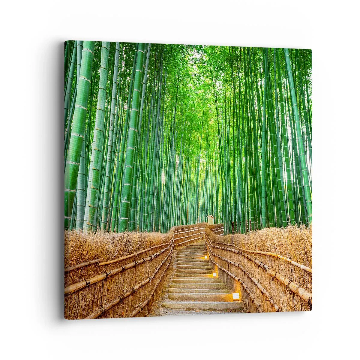 Impression sur toile - Image sur toile - L'essence de la nature asiatique - 40x40 cm