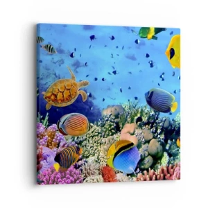 Impression sur toile - Image sur toile - Et que sait-on de la vie… - 30x30 cm