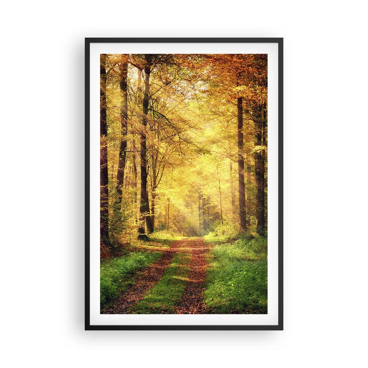 Affiche dans un cadre noir - Poster - Silence d'or en forêt - 61x91 cm