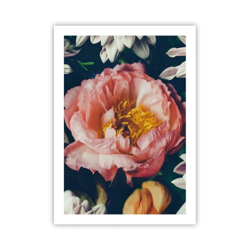 Affiche - Poster - Une fleur rose avec un centre jaune entouré d'autres fleurs - 50x70cm - Splendeur baroque - Décoration murale moderne pour le salon et la chambre ARTTOR