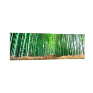 Impression sur verre - Image sur verre - Un chemin dans une dense forêt de bambous - 160x50cm - L'essence de la nature asiatique - Décoration murale moderne pour le salon et la chambre ARTTOR