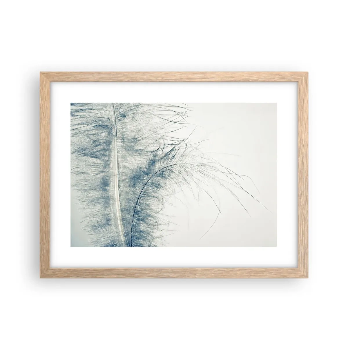 Affiche dans un chêne clair - Poster - Les sept natures - 40x30 cm