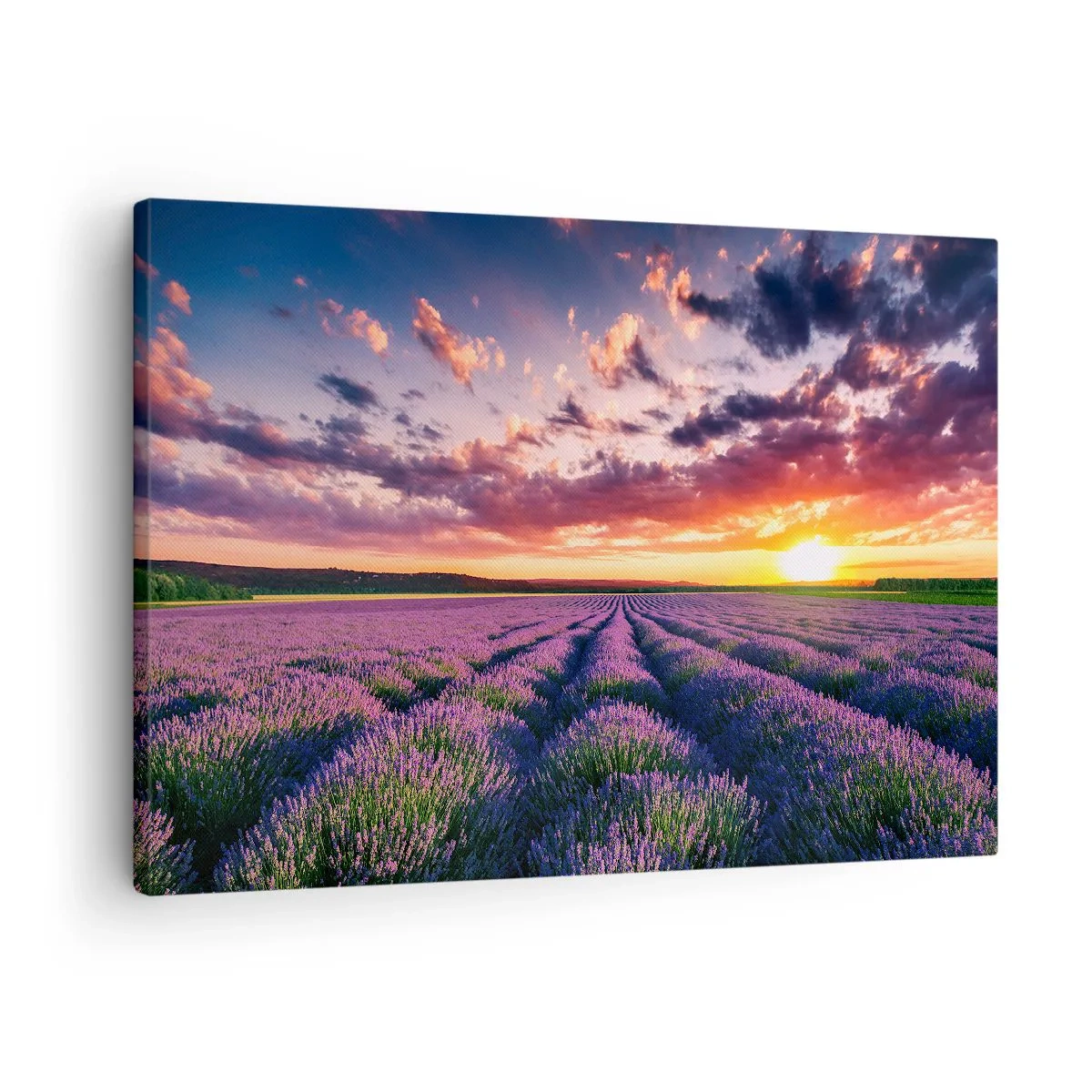 Impression sur toile - Image sur toile - Un champ de lavande au coucher du soleil avec un ciel coloré - 70x50cm - Monde de lavande - Décoration murale moderne pour le salon et la chambre ARTTOR