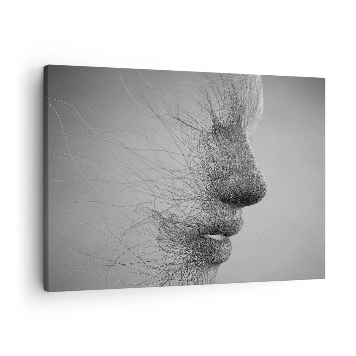 Impression sur toile - Image sur toile - Profil facial artistique créé avec des lignes délicates - 70x50cm - L'esprit du vent - Décoration murale moderne pour le salon et la chambre ARTTOR