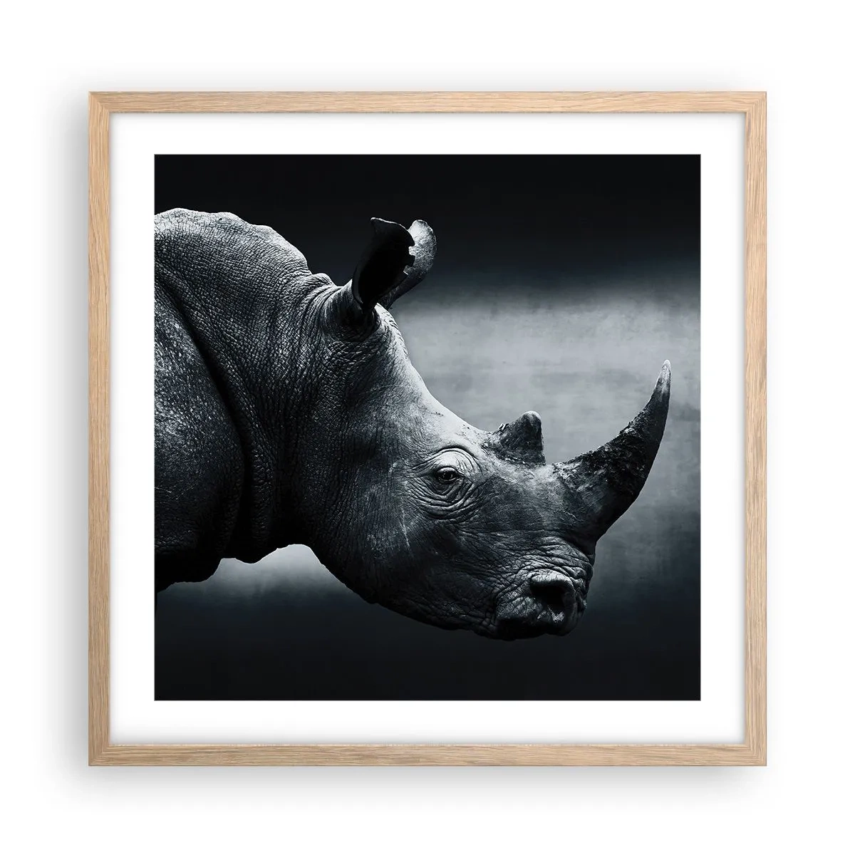 Affiche dans un chêne clair - Poster - Le profil droit - 50x50 cm