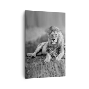 Impression sur toile - Image sur toile - Lion reposant sur un rocher dans un style monochrome - 80x120cm - Sieste royale - Décoration murale moderne pour le salon et la chambre ARTTOR