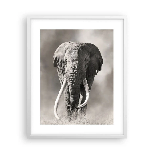 Affiche dans un cadre blanc - Poster - Patriarche africain - 40x50 cm