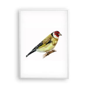 Affiche dans un cadre blanc - Poster - Portrait d'oiseau - 70x100 cm