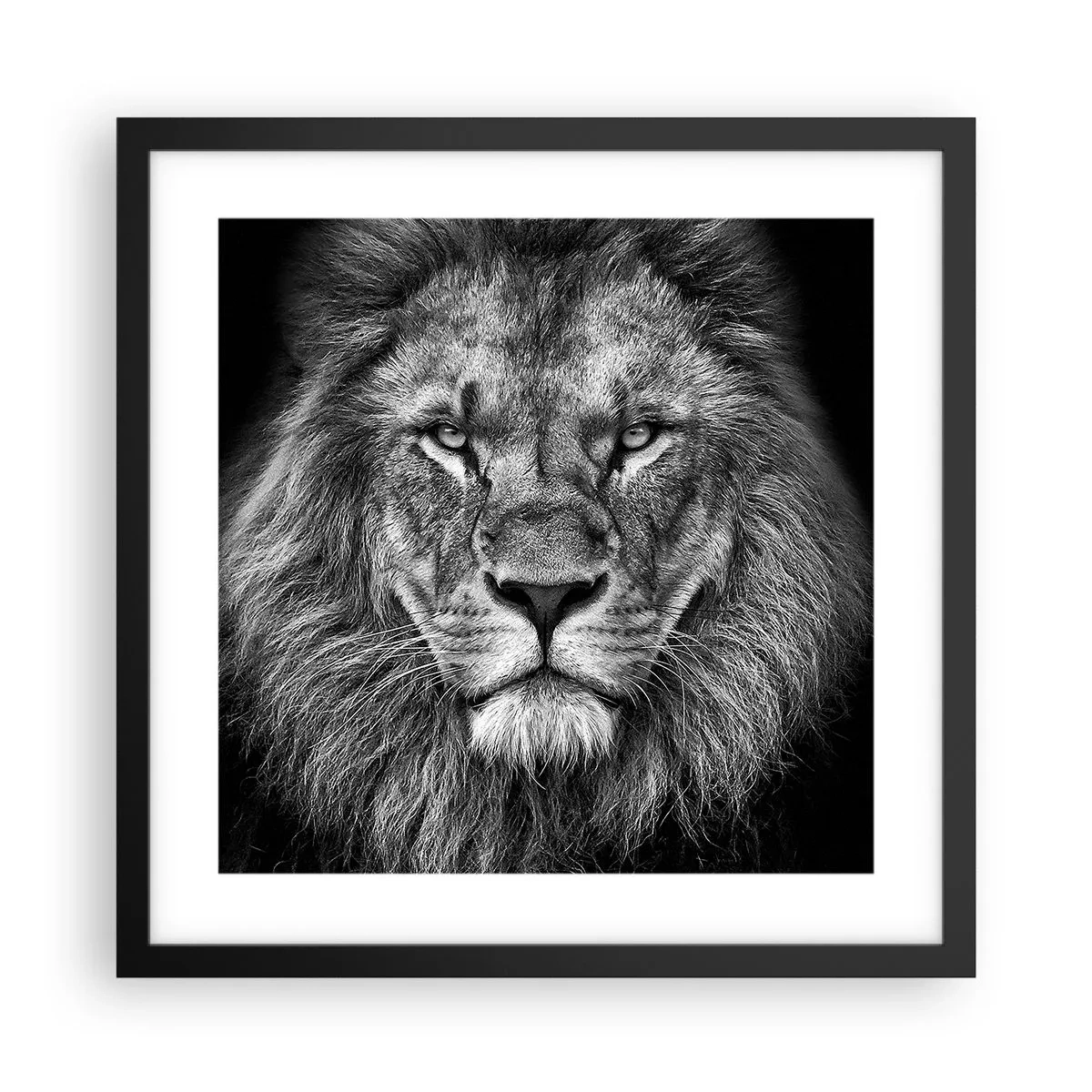 Affiche dans un cadre noir - Poster - En vêtement de sacre - 40x40 cm