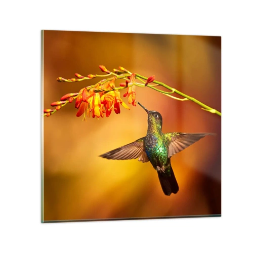 Impression sur verre - Image sur verre - Un messager de lumière selon les Mayas - 40x40 cm