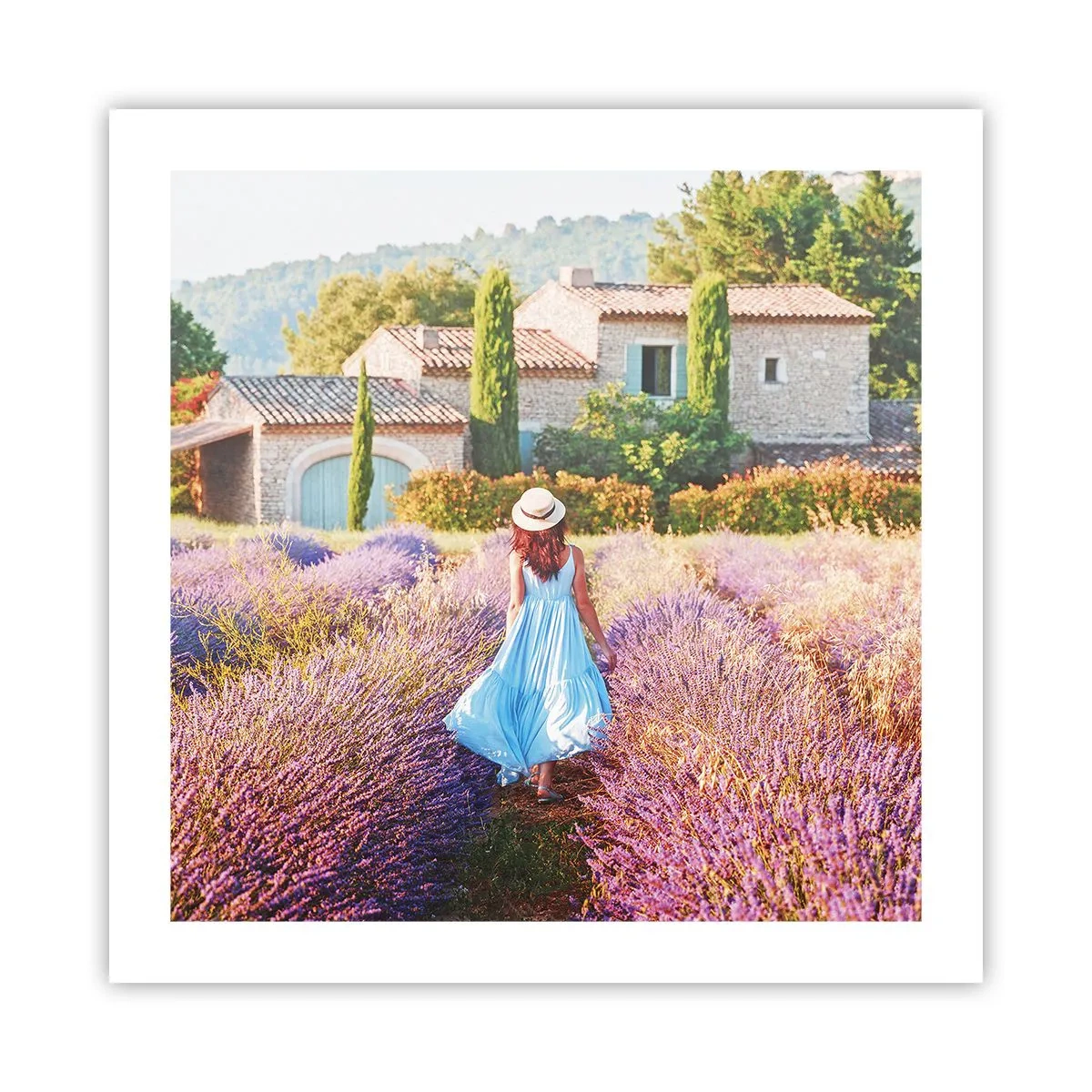 Affiche - Poster - Fille de la lavande - 50x50 cm