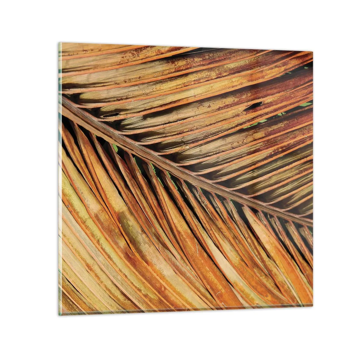 Impression sur verre - Image sur verre - Or de noix de coco - 40x40 cm