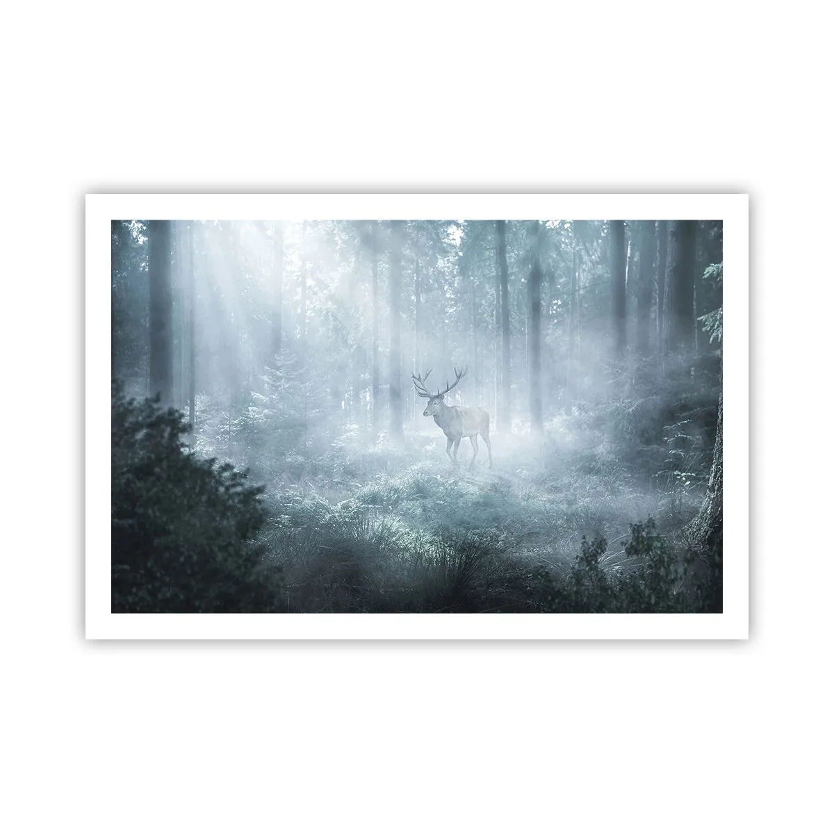 Affiche - Poster - Visite matinale du domaine - 91x61 cm