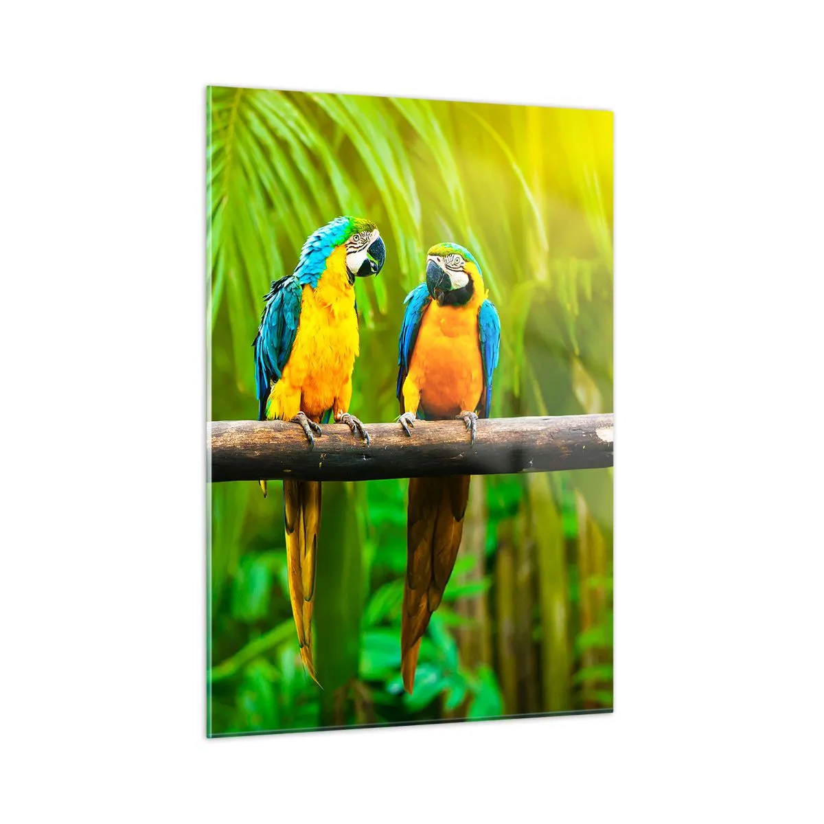 Impression sur verre - Image sur verre - Trois perroquets aras sur une branche dans une forêt tropicale - 50x70cm - Et avez-vous entendu qu'elle ...? - Décoration murale moderne pour le salon et la chambre ARTTOR