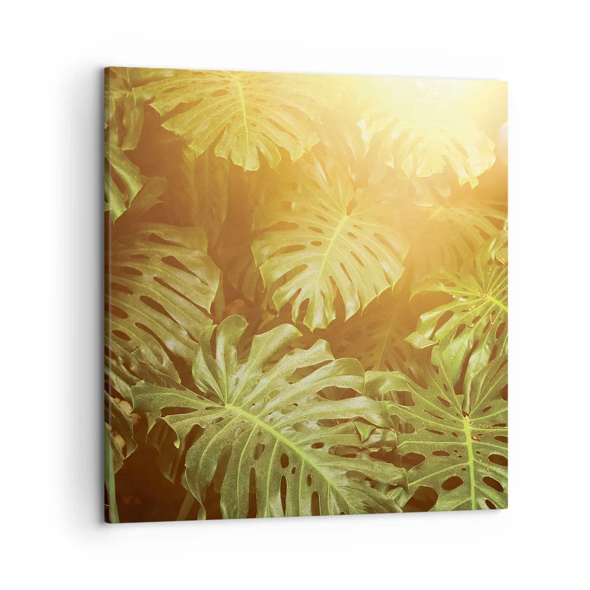 Impression sur toile - Image sur toile - Se fondre dans la verdure - 50x50 cm