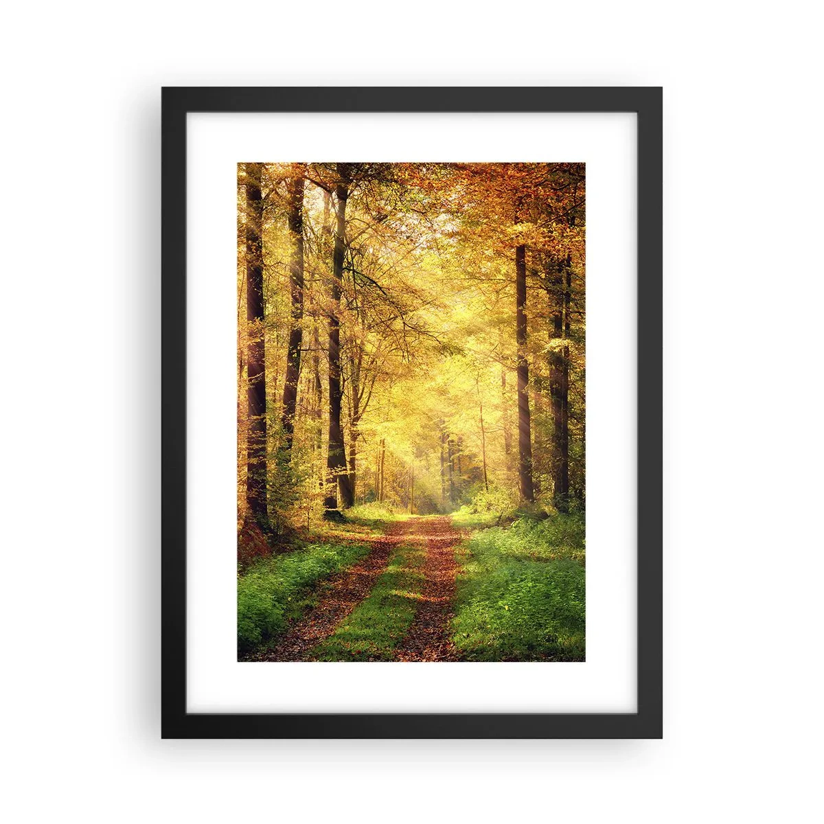 Affiche dans un cadre noir - Poster - Silence d'or en forêt - 30x40 cm