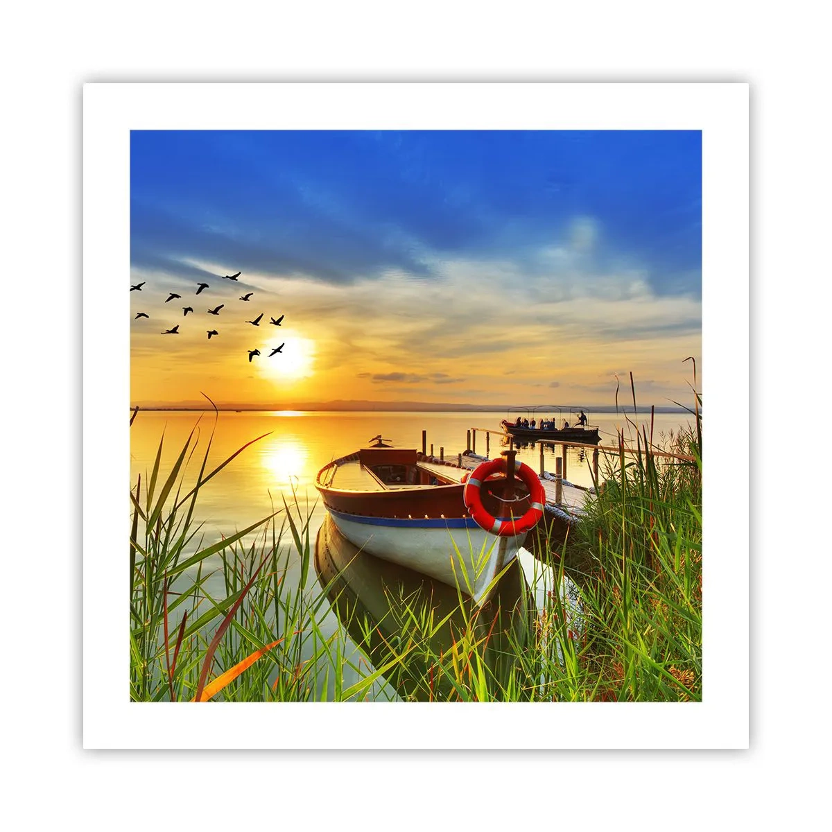 Affiche - Poster - Les cormorans s'envolent déjà - 50x50 cm