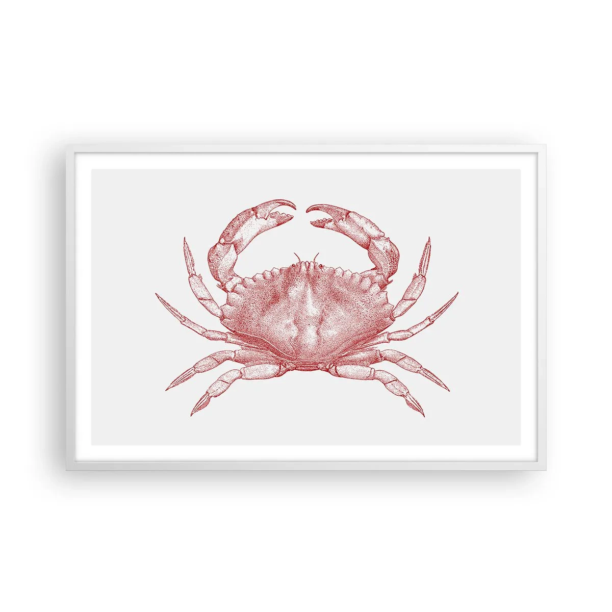 Affiche dans un cadre blanc - Poster - Le crabe des crabes - 91x61 cm