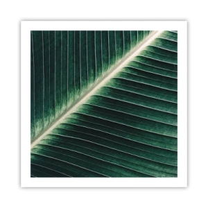 Affiche - Poster - Le rythme de la nature - 60x60 cm