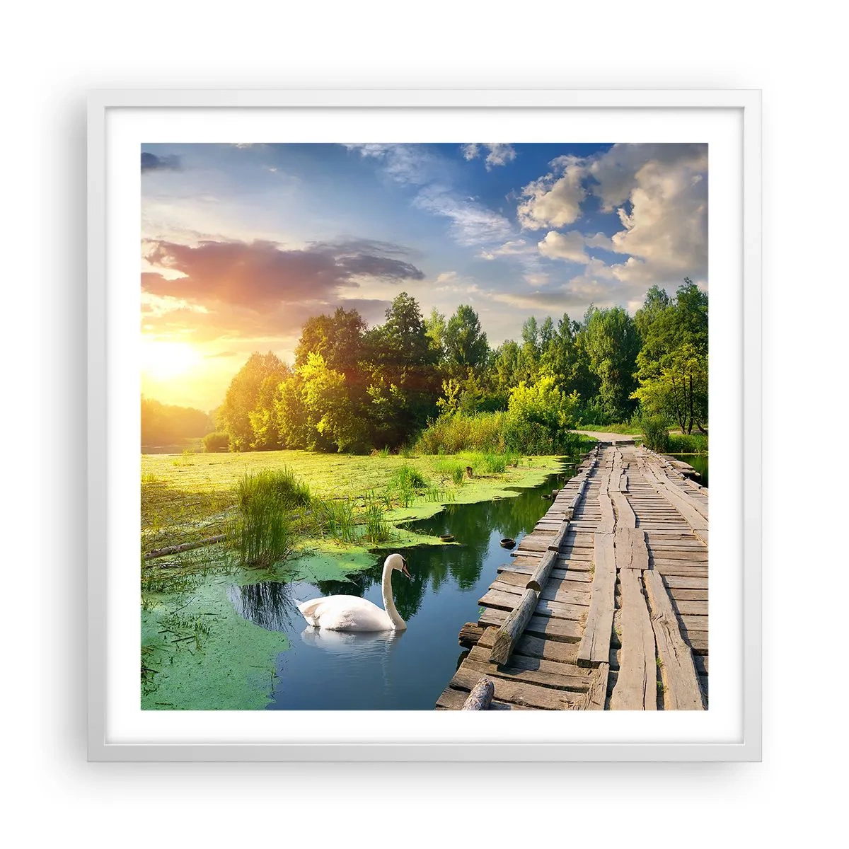 Affiche dans un cadre blanc - Poster - L'été, l'été partout - 60x60 cm
