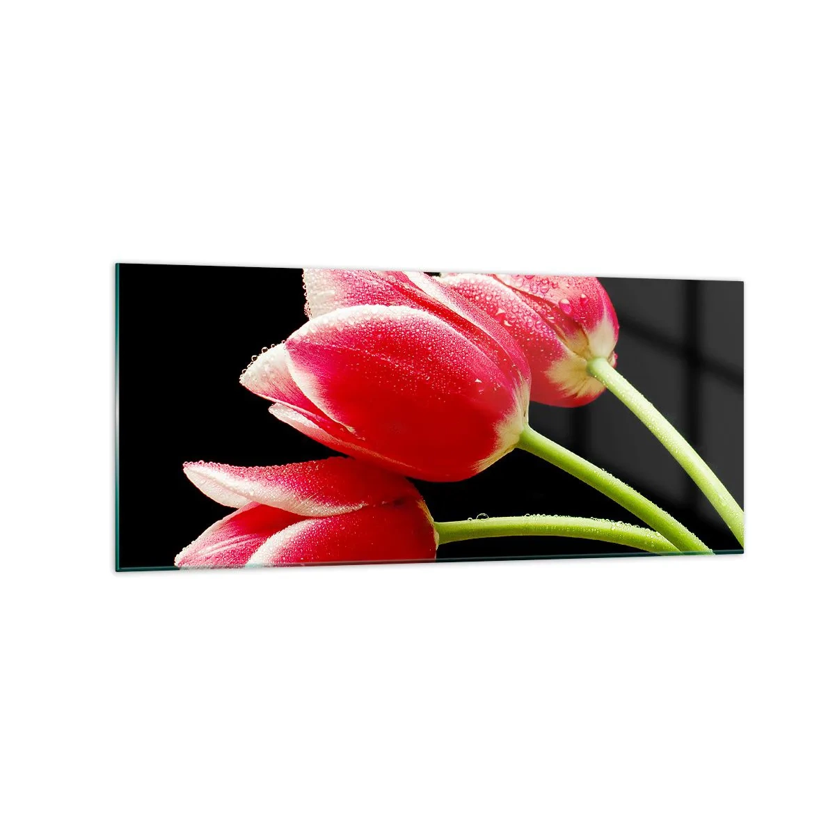 Impression sur verre - Image sur verre - Tulipes rouges avec des gouttes de rosée sur fond noir - 120x50cm - Une promesse d'amour pur - Décoration murale moderne pour le salon et la chambre ARTTOR