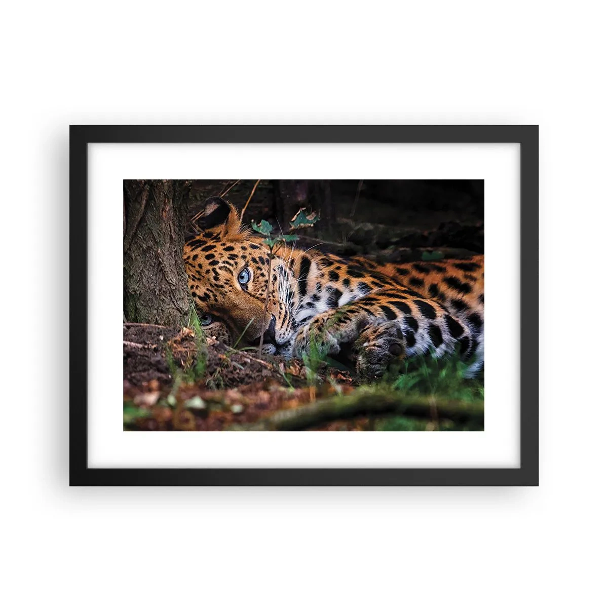 Affiche dans un cadre noir - Poster - Fais-moi confiance - 40x30 cm