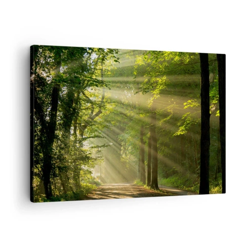 Impression sur toile - Image sur toile - Chemin forestier avec les rayons du soleil qui brillent à travers les arbres - 70x50cm - Moment de forêt - Décoration murale moderne pour le salon et la chambre ARTTOR