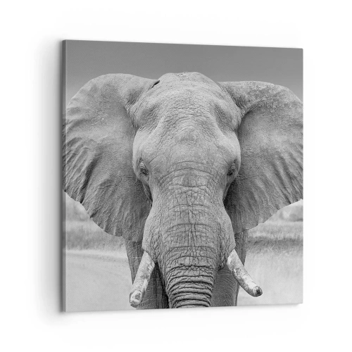 Impression sur toile - Image sur toile - Bienvenue dans mon monde - 60x60 cm