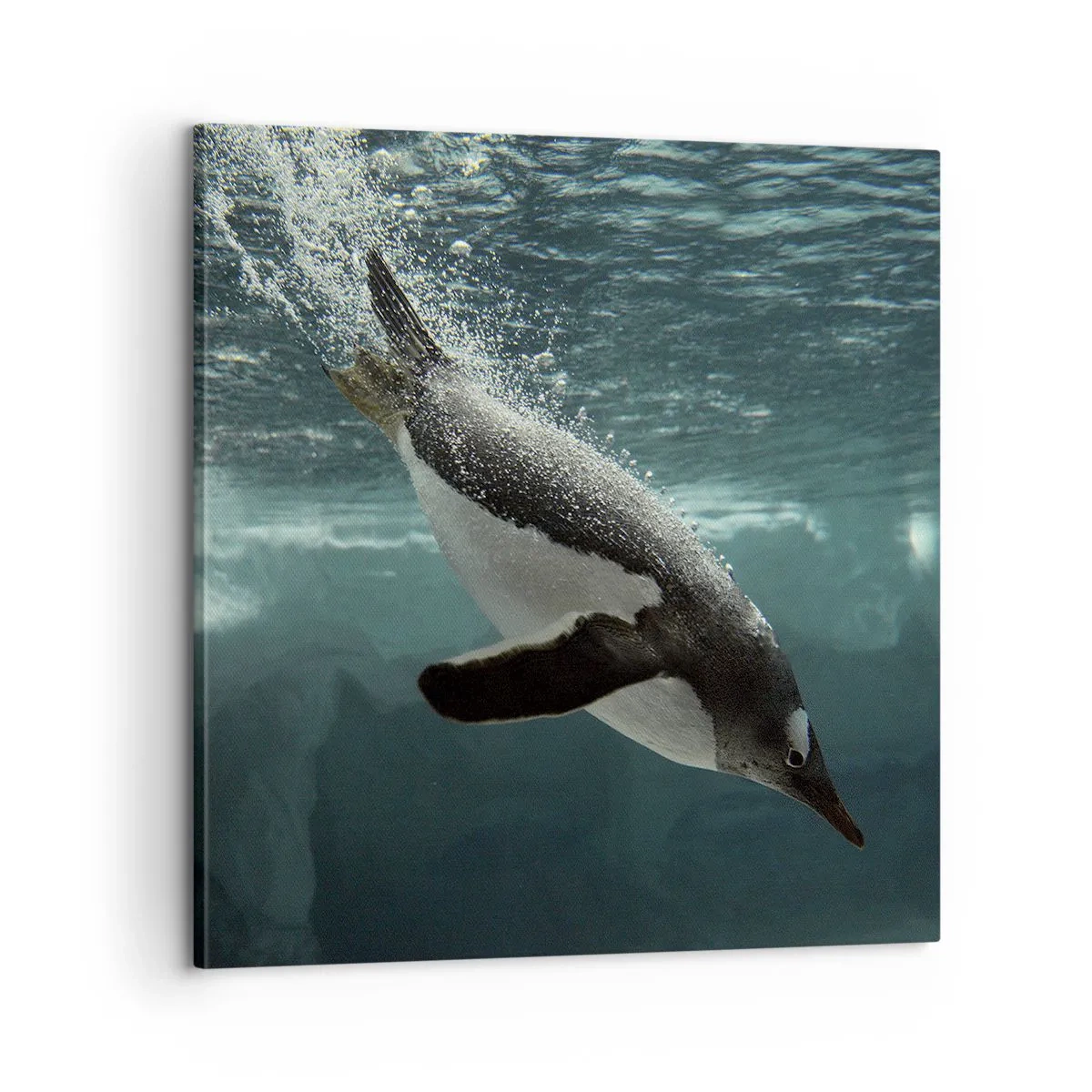 Impression sur toile - Image sur toile - Bienvenue dans mon monde - 60x60 cm