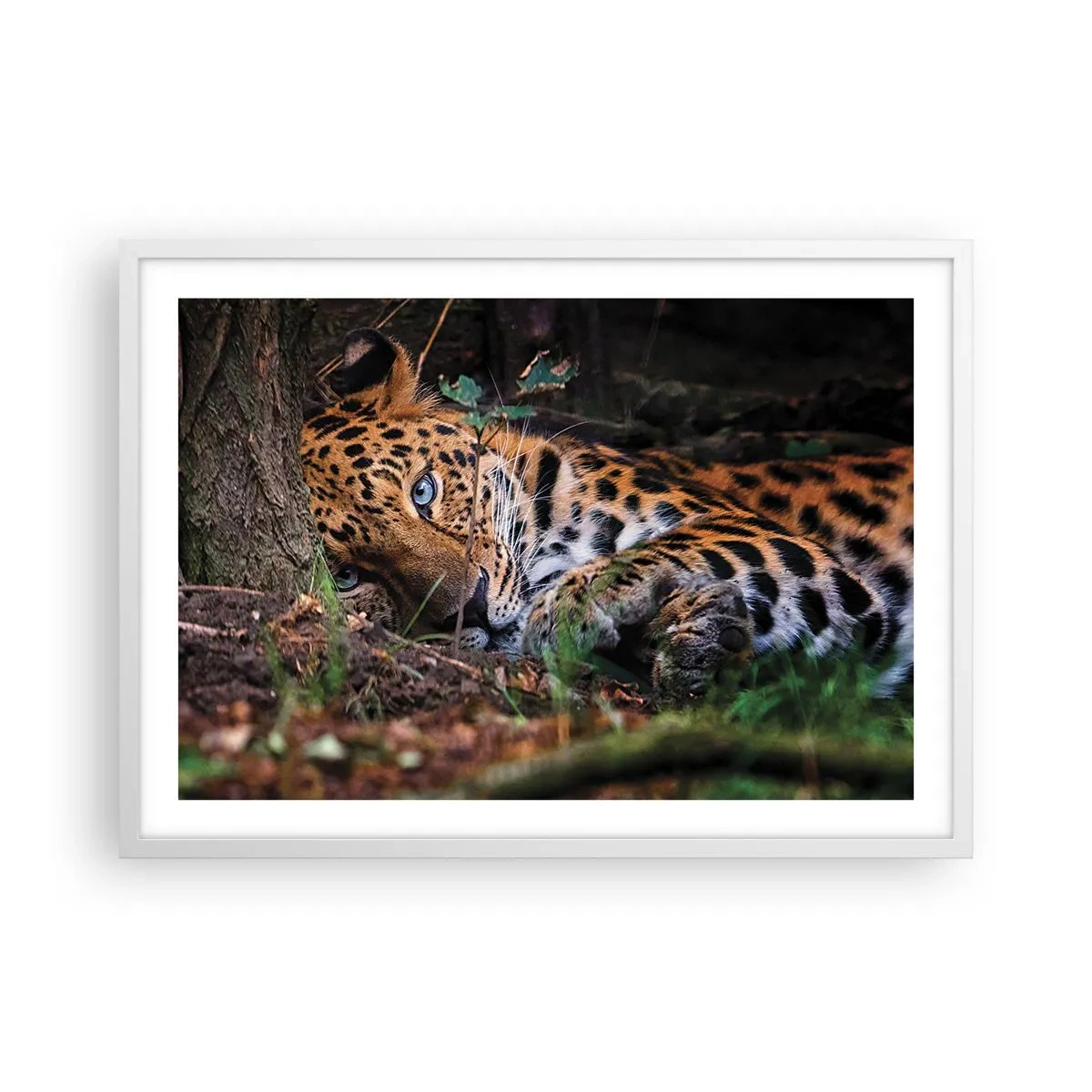 Affiche dans un cadre blanc - Poster - Fais-moi confiance - 70x50 cm