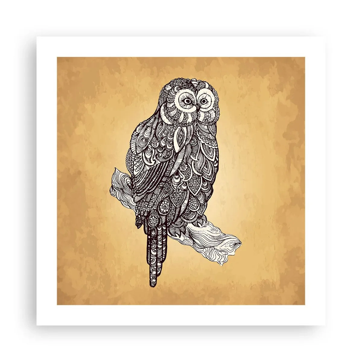 Affiche - Poster - Ornements complexes de sagesse - 50x50 cm