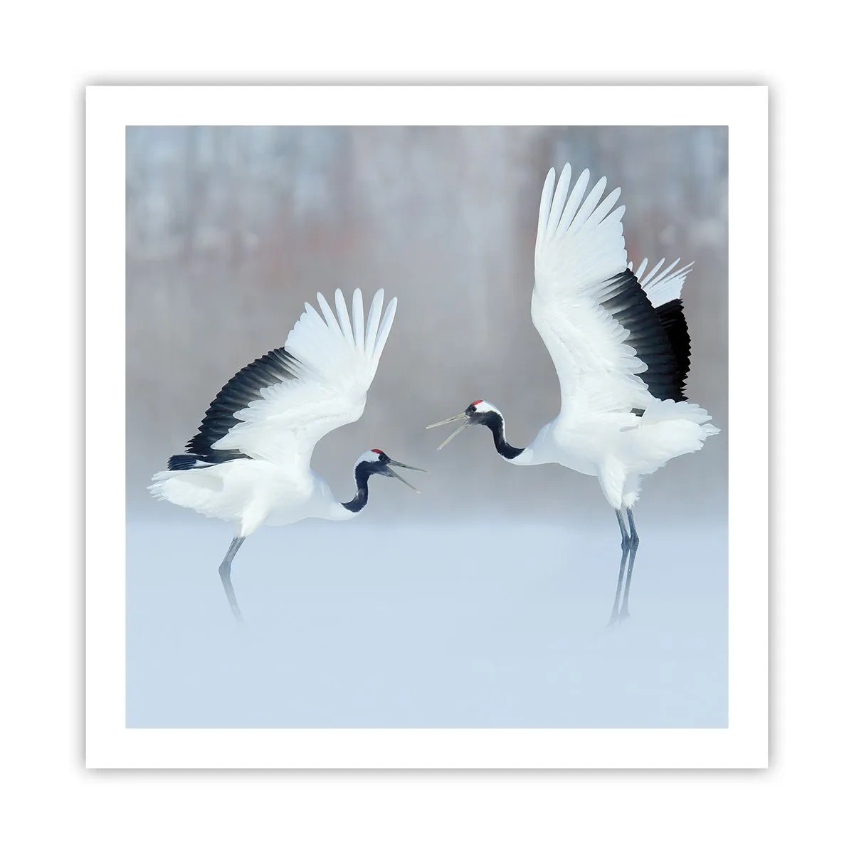 Affiche - Poster - Danse dans le brouillard - 60x60 cm