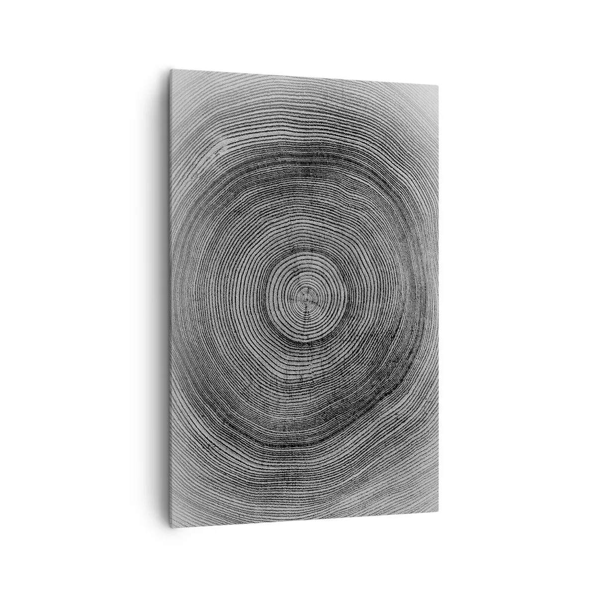 Impression sur toile - Image sur toile - Motif de cernes d'arbre noir et blanc montrant une coupe transversale du tronc - 80x120cm - Signe du temps - Décoration murale moderne pour le salon et la chambre ARTTOR
