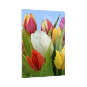Impression sur verre - Image sur verre - Tulipes colorées couvertes de gouttes de rosée sur un fond bleu - 50x70cm - Un arc-en-ciel fleuri en gouttes de rosée - Décoration murale moderne pour le salon et la chambre ARTTOR