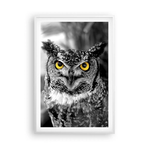 Affiche dans un cadre blanc - Poster - Rien ne se cachera - 61x91 cm