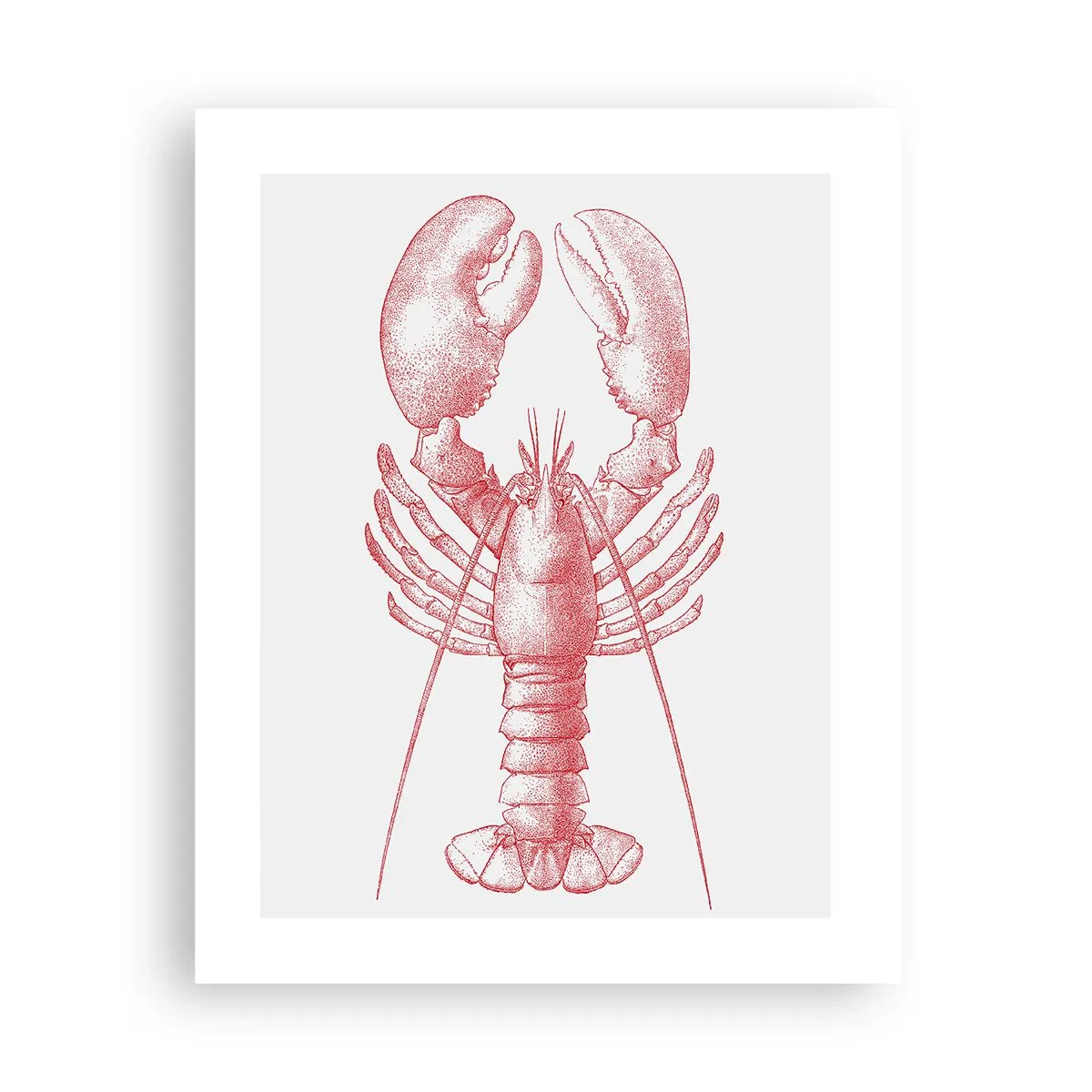 Affiche - Poster - Un homard digne d'Homère - 40x50 cm