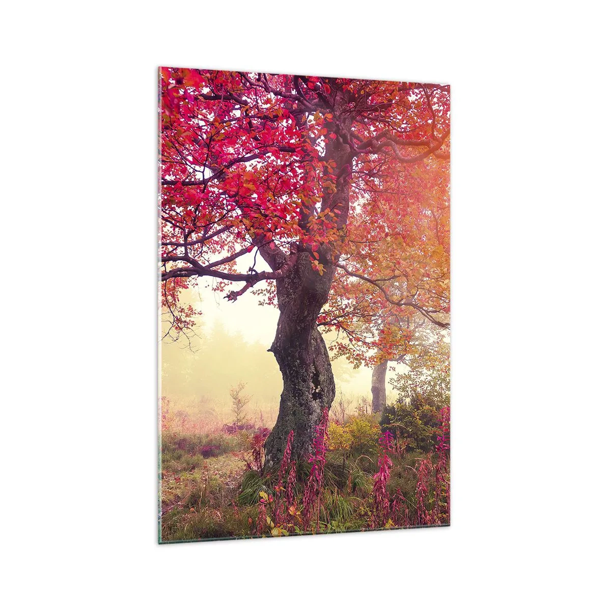 Impression sur verre - Image sur verre - Paysage d'automne avec des arbres aux couleurs intenses - 70x100cm - Frénésie de floraison - Décoration murale moderne pour le salon et la chambre ARTTOR