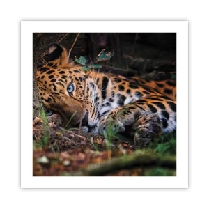 Affiche - Poster - Fais-moi confiance - 50x50 cm