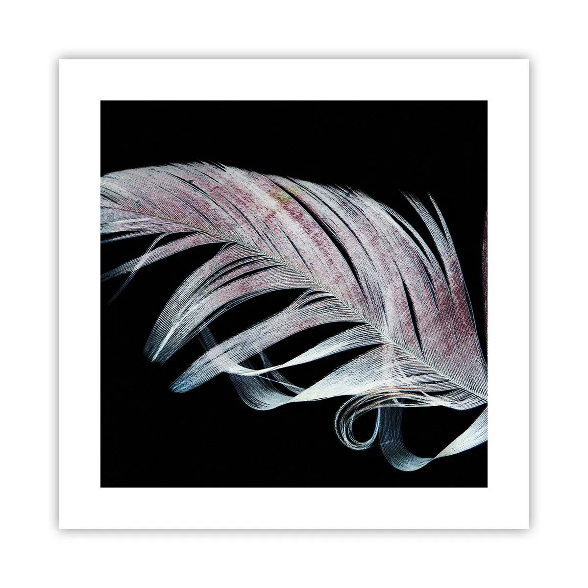 Affiche - Poster - Pensez au toucher - 40x40 cm