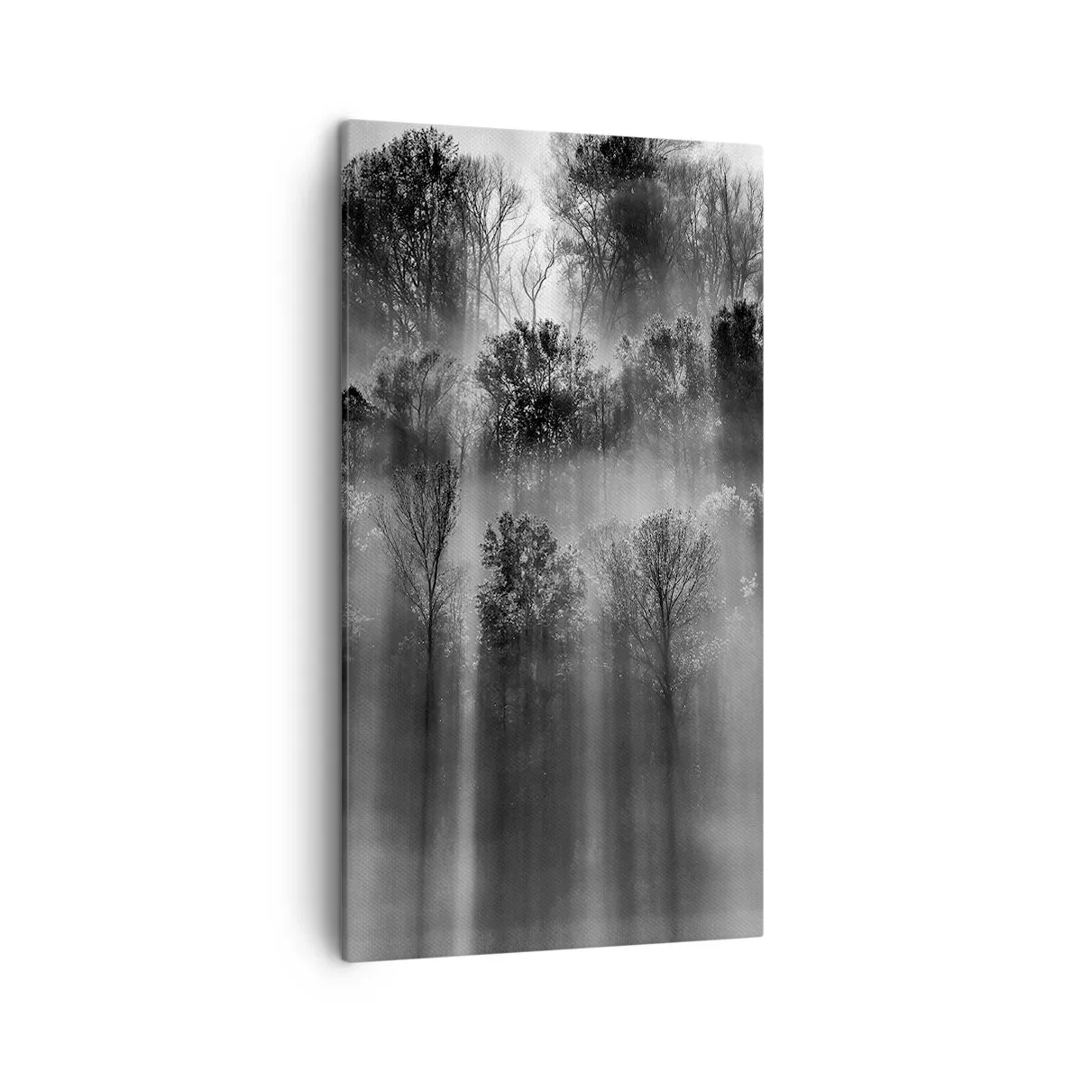 Impression sur toile - Image sur toile - Dans les flots de lumière - 45x80 cm