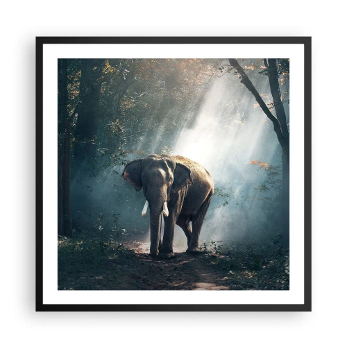 Affiche dans un cadre noir - Poster - Une balade tranquille - 60x60 cm