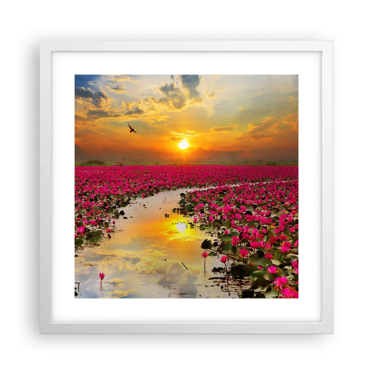 Affiche dans un cadre blanc - Poster - La vie secrète du lac - 40x40 cm