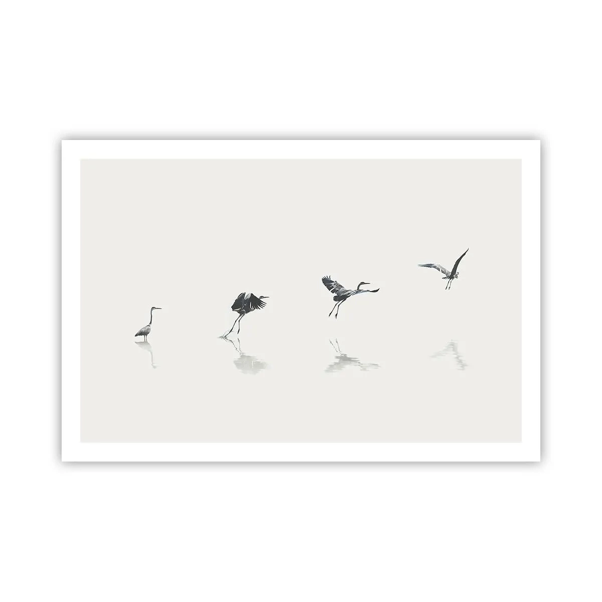 Affiche - Poster - Quatre étapes simples - 91x61 cm