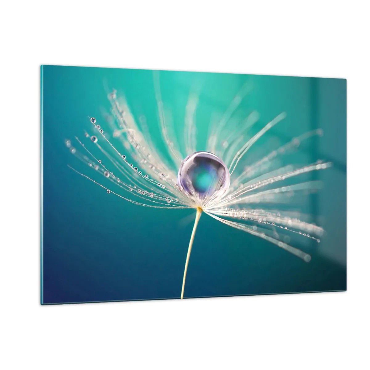 Impression sur verre - Image sur verre - Macrophotographie d'une graine de pissenlit avec une goutte de rosée sur un fond turquoise - 120x80cm - Moment mystique - Décoration murale moderne pour le salon et la chambre ARTTOR