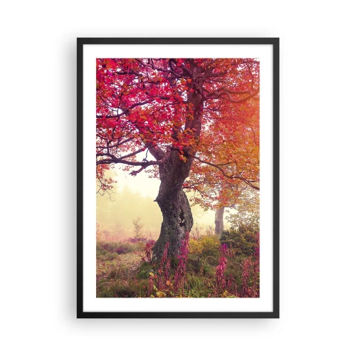 Affiche dans un cadre noir - Poster - Un arbre aux feuilles rouges dans un paysage d'automne - 50x70cm - Frénésie de floraison - Décoration murale moderne pour le salon et la chambre ARTTOR